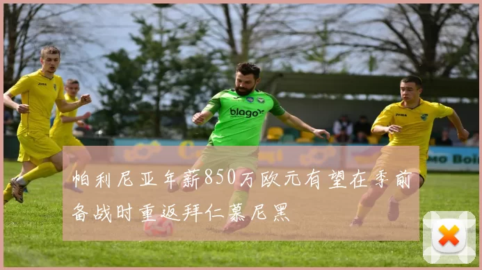 帕利尼亚年薪850万欧元有望在季前备战时重返拜仁慕尼黑