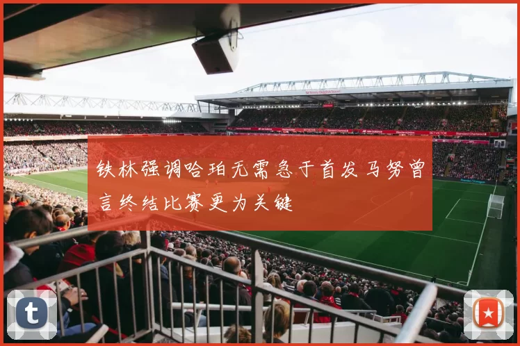 铁林强调哈珀无需急于首发马努曾言终结比赛更为关键