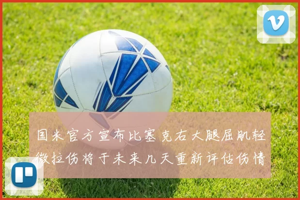 国米官方宣布比塞克右大腿屈肌轻微拉伤将于未来几天重新评估伤情