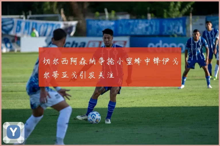 切尔西阿森纳争抢小蜜蜂中锋伊戈尔蒂亚戈引发关注